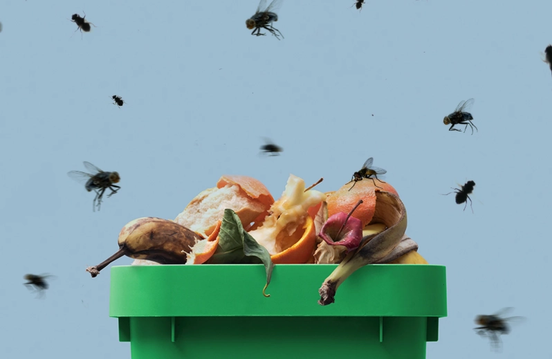 how to get rid of flies in garbage