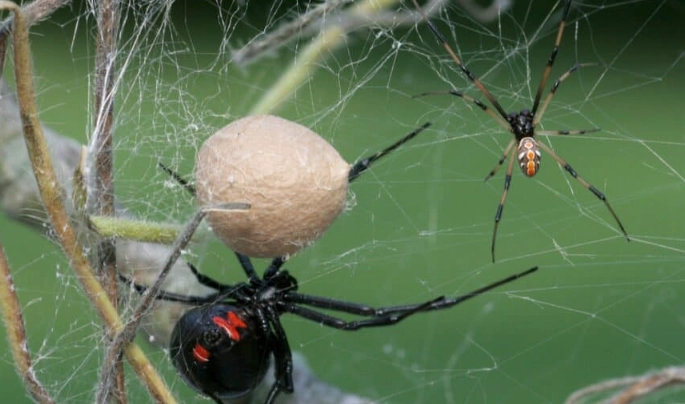 financial abuse in relationships