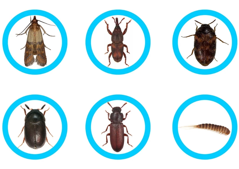 effective debugging strategies