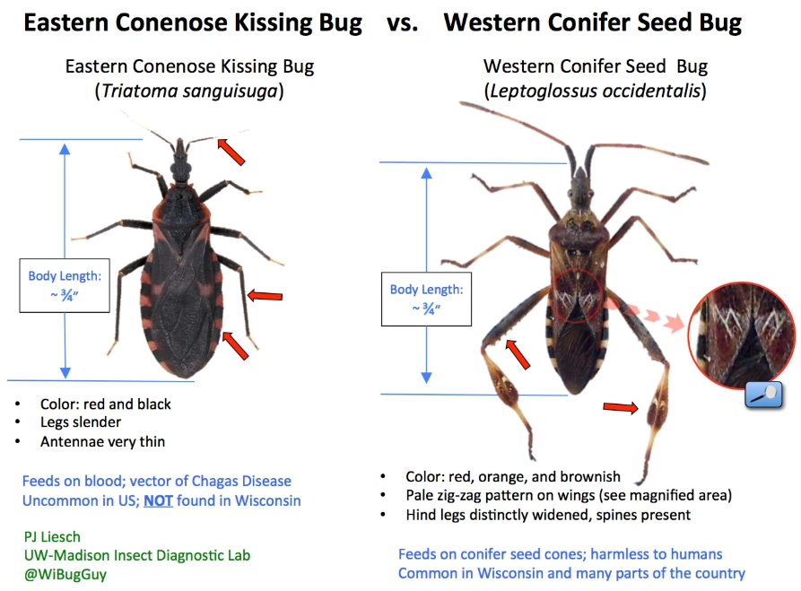 effective debugging strategies